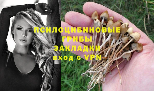 метадон Абаза
