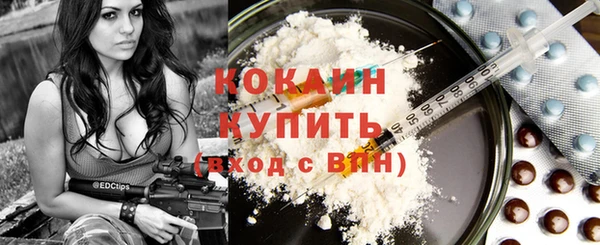 дживик Абинск