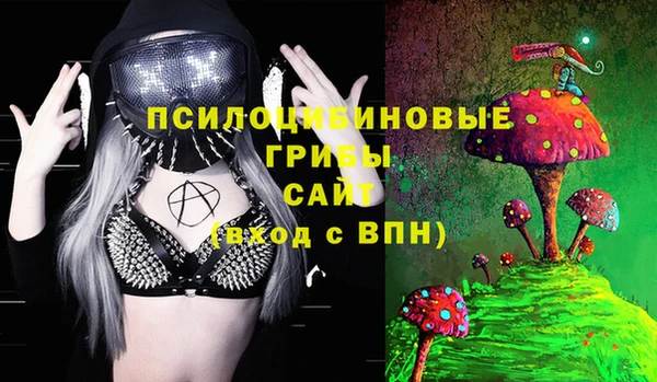 дживик Абинск