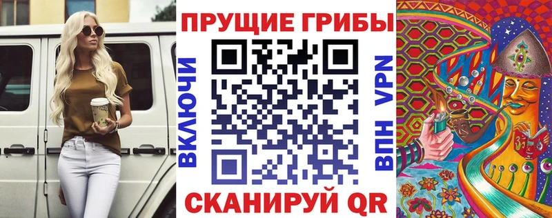 omg ССЫЛКА  Элиста  Галлюциногенные грибы Psilocybine cubensis 